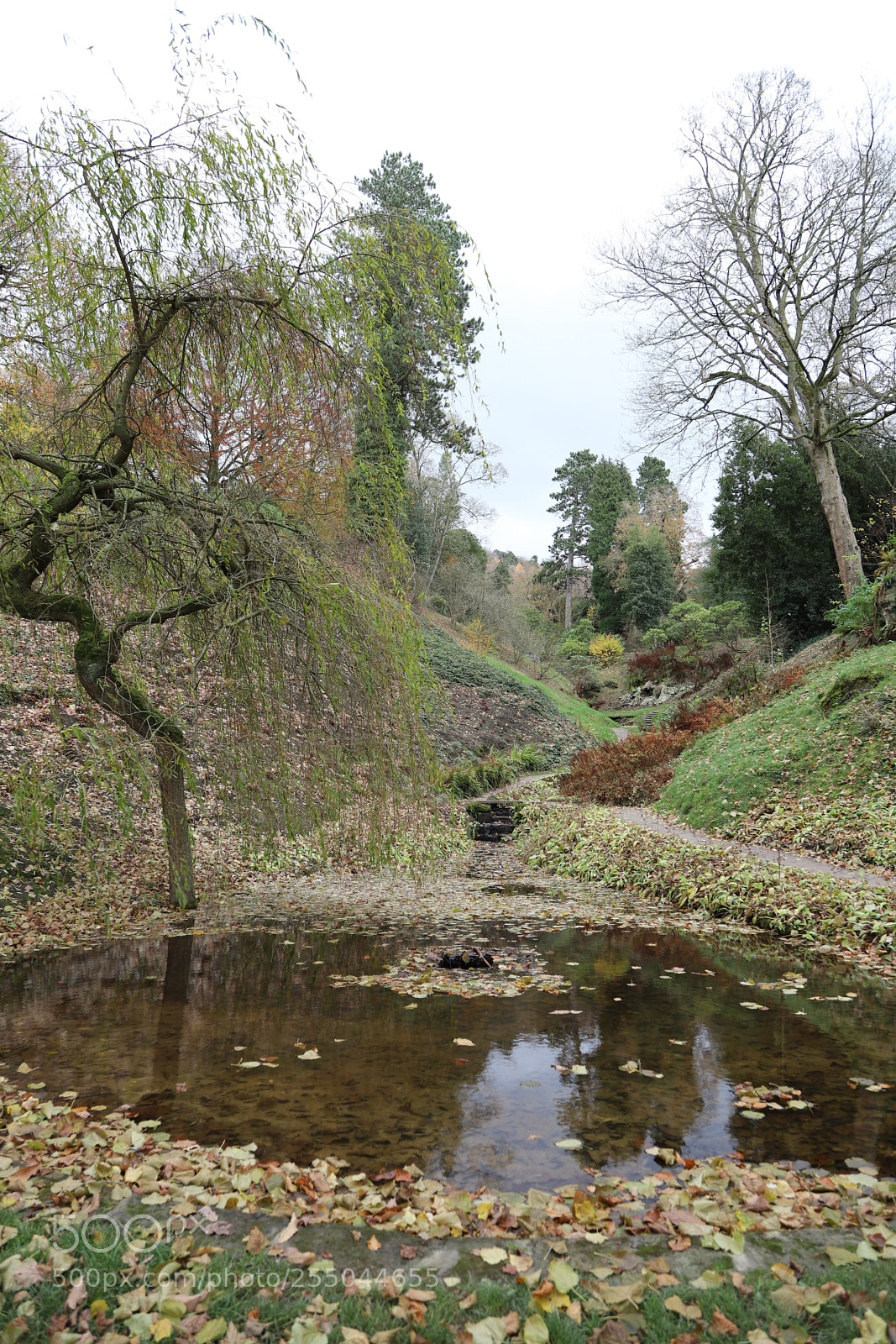 Canon EOS 6D Mark II sample photo. Chatsworth house, bakewell, derbyshire. photography