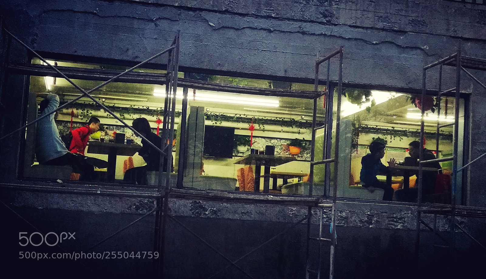HUAWEI Mate 8 sample photo. Untitled photography