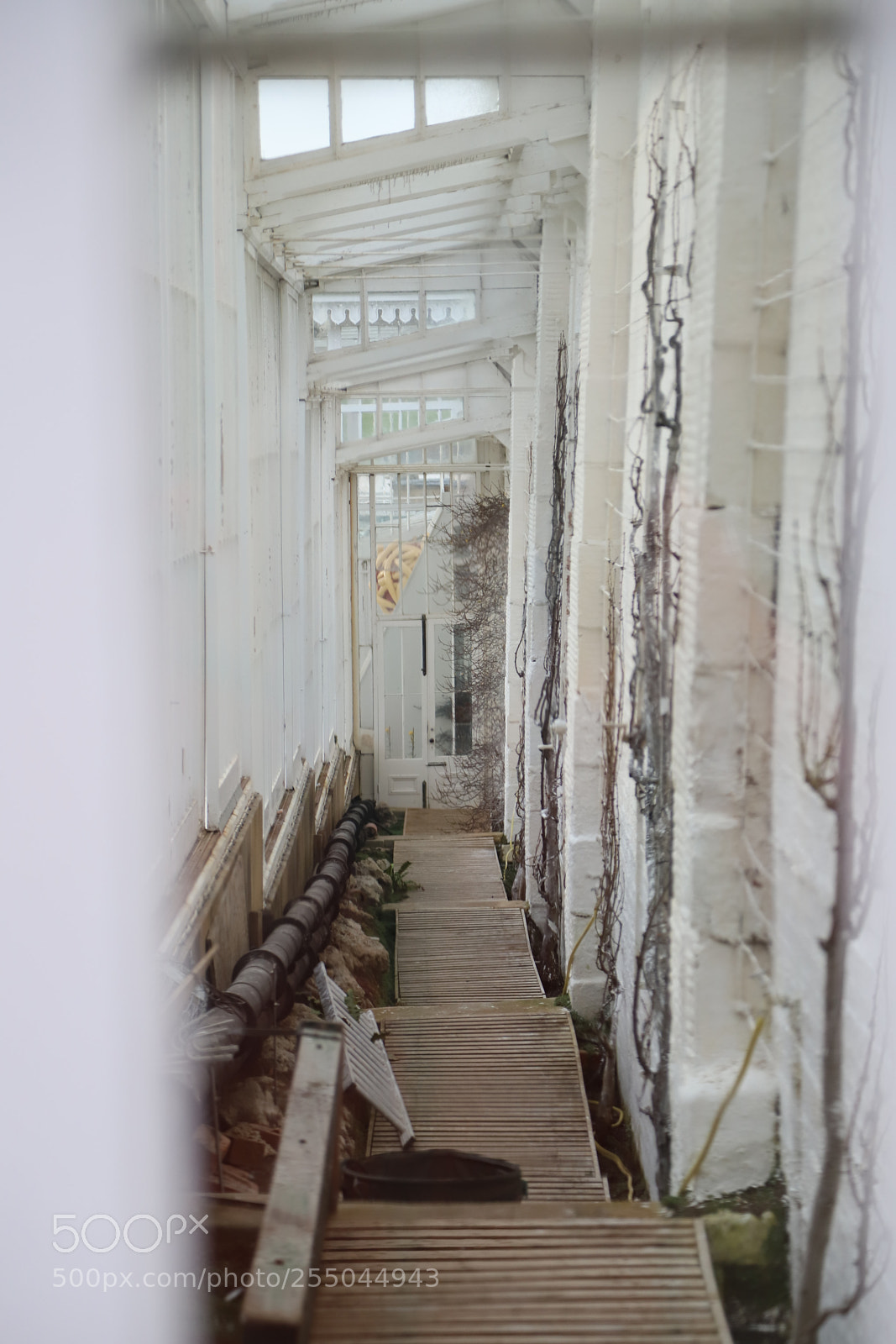 Canon EOS 6D Mark II sample photo. Chatsworth house, bakewell, derbyshire. photography