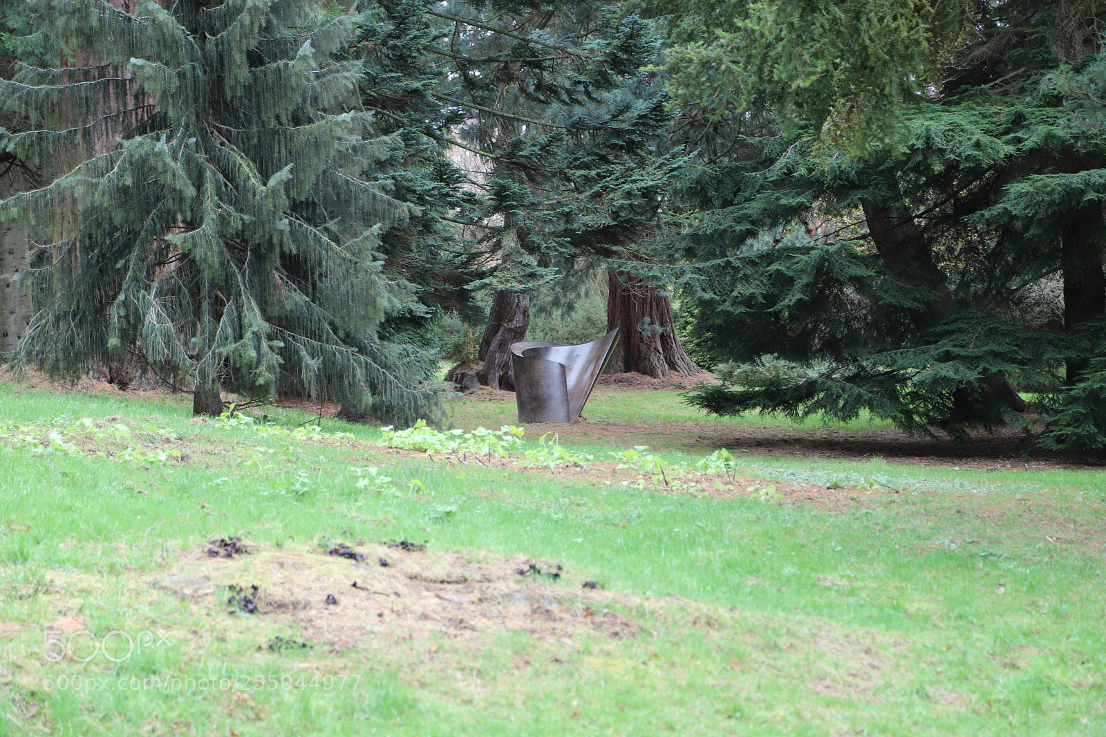 Canon EOS 6D Mark II sample photo. Chatsworth house, bakewell, derbyshire. photography