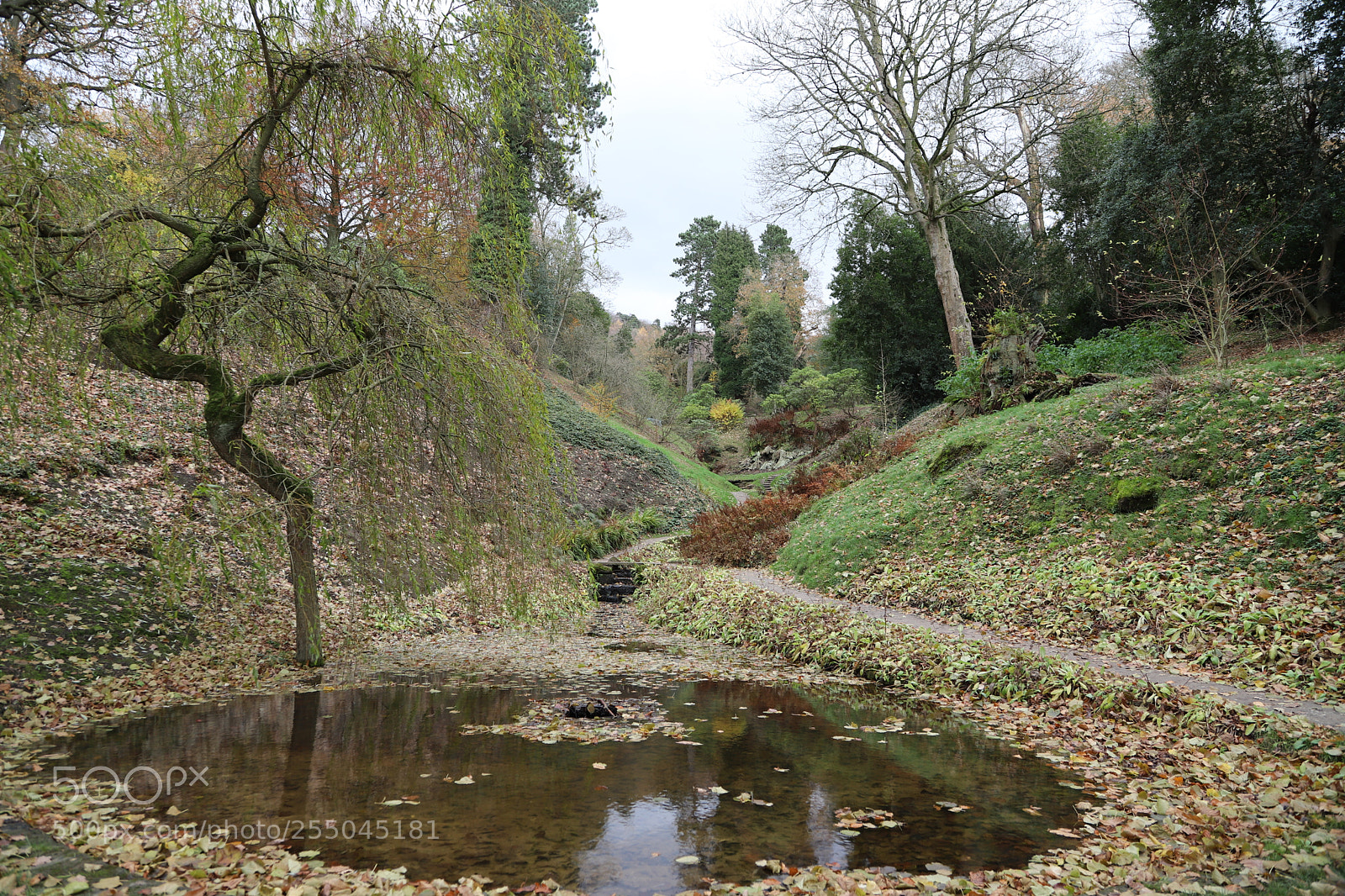 Canon EOS 6D Mark II sample photo. Chatsworth house, bakewell, derbyshire. photography