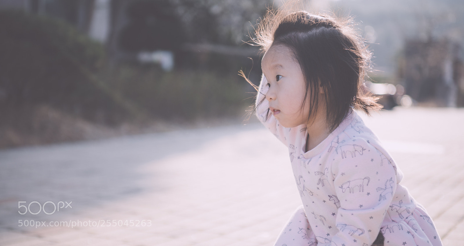 Nikon D850 sample photo. Yul photography