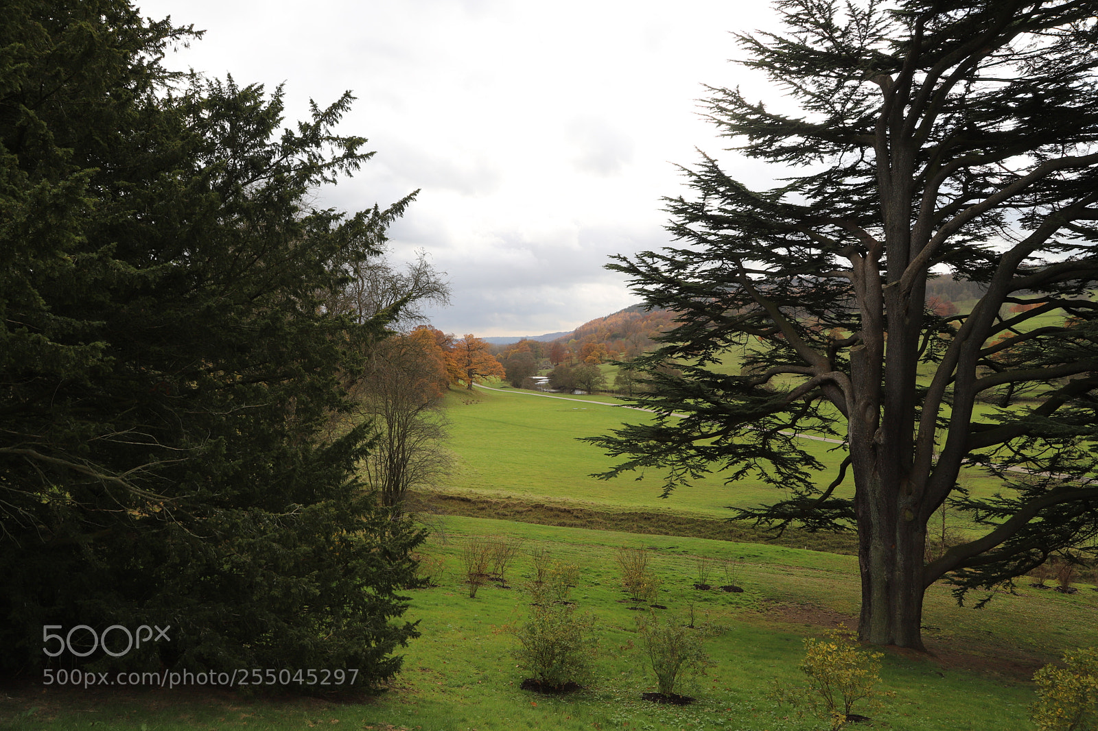 Canon EOS 6D Mark II sample photo. Chatsworth house, bakewell, derbyshire. photography