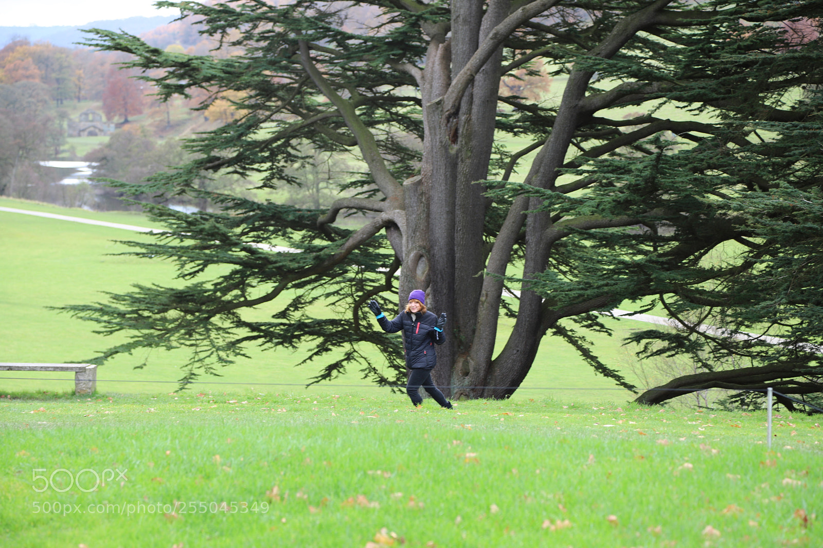 Canon EOS 6D Mark II sample photo. Chatsworth house, bakewell, derbyshire. photography