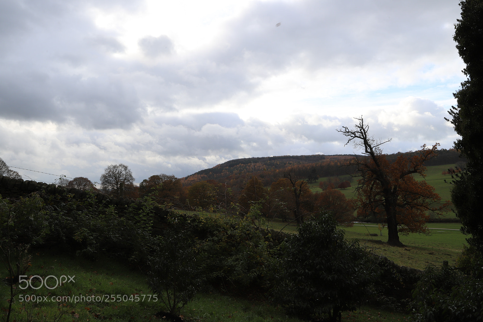 Canon EOS 6D Mark II sample photo. Chatsworth house, bakewell, derbyshire. photography