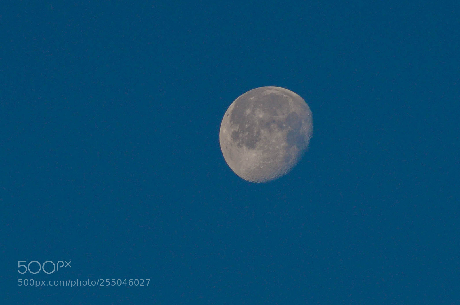 Nikon D3200 sample photo. The moon photography