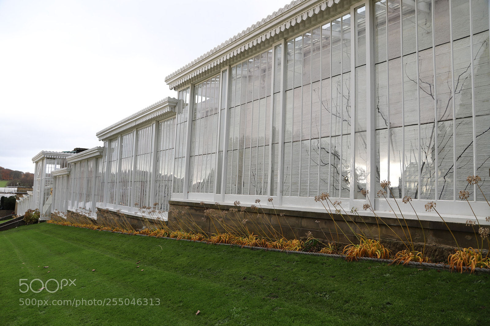 Canon EOS 6D Mark II sample photo. Chatsworth house, bakewell, derbyshire. photography