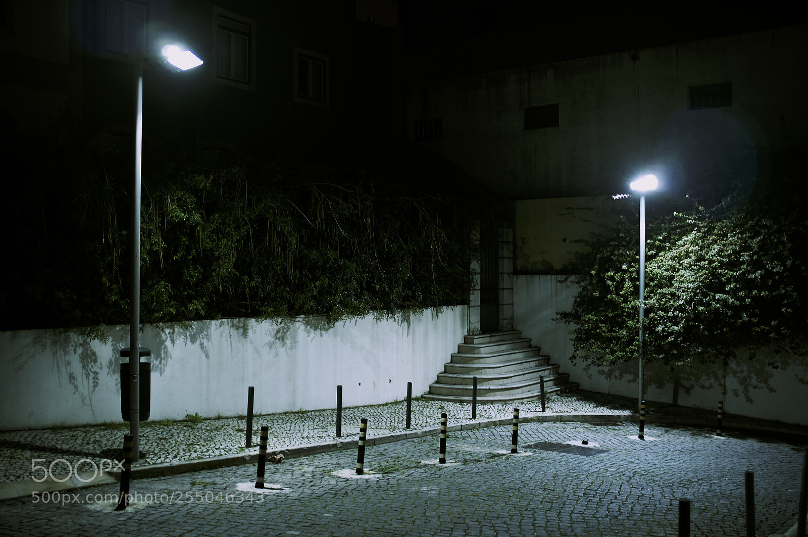 Fujifilm FinePix X100 sample photo. Two street lights photography
