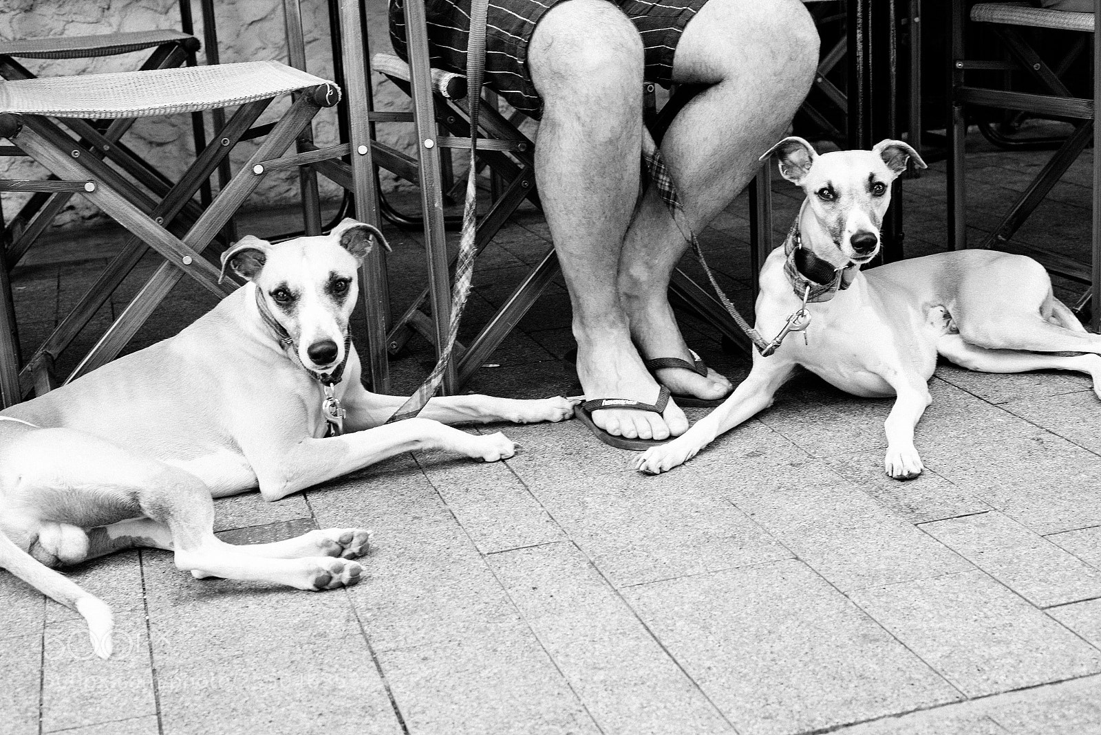 Leica M (Typ 240) sample photo. The labours of spot photography
