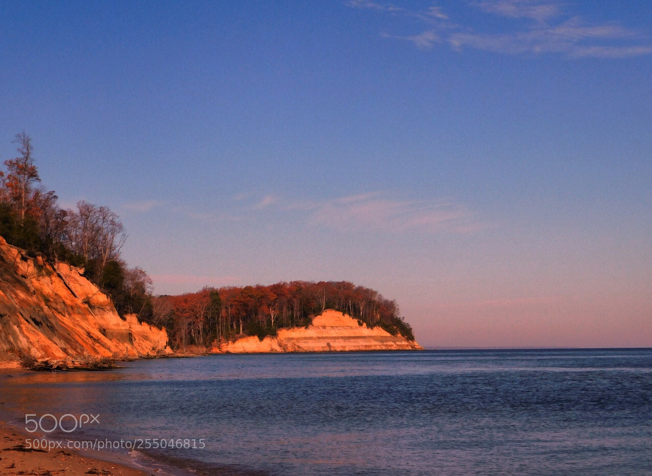 Nikon Coolpix B500 sample photo. Calvert cliff photography