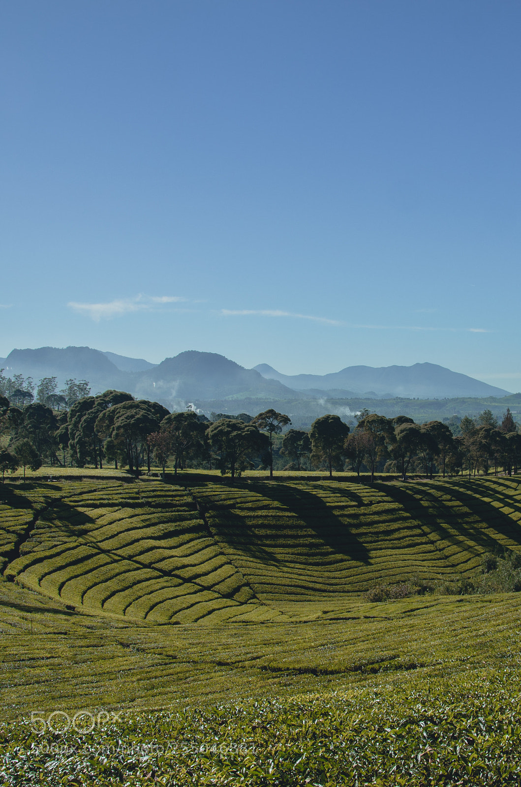 Nikon D7000 sample photo. Early trip photography