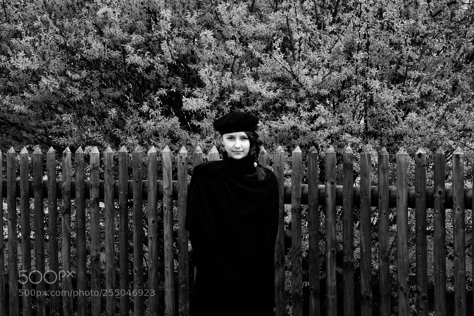 Nikon D5300 sample photo. Untitled photography