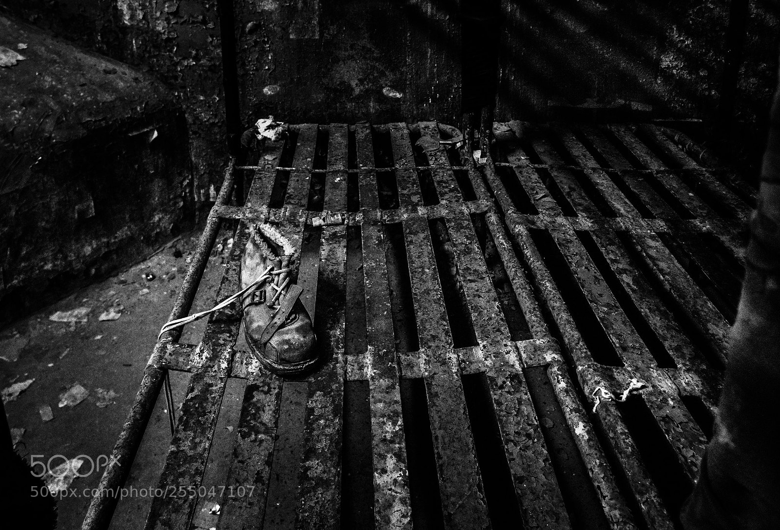 Nikon D810 sample photo. Untitled photography