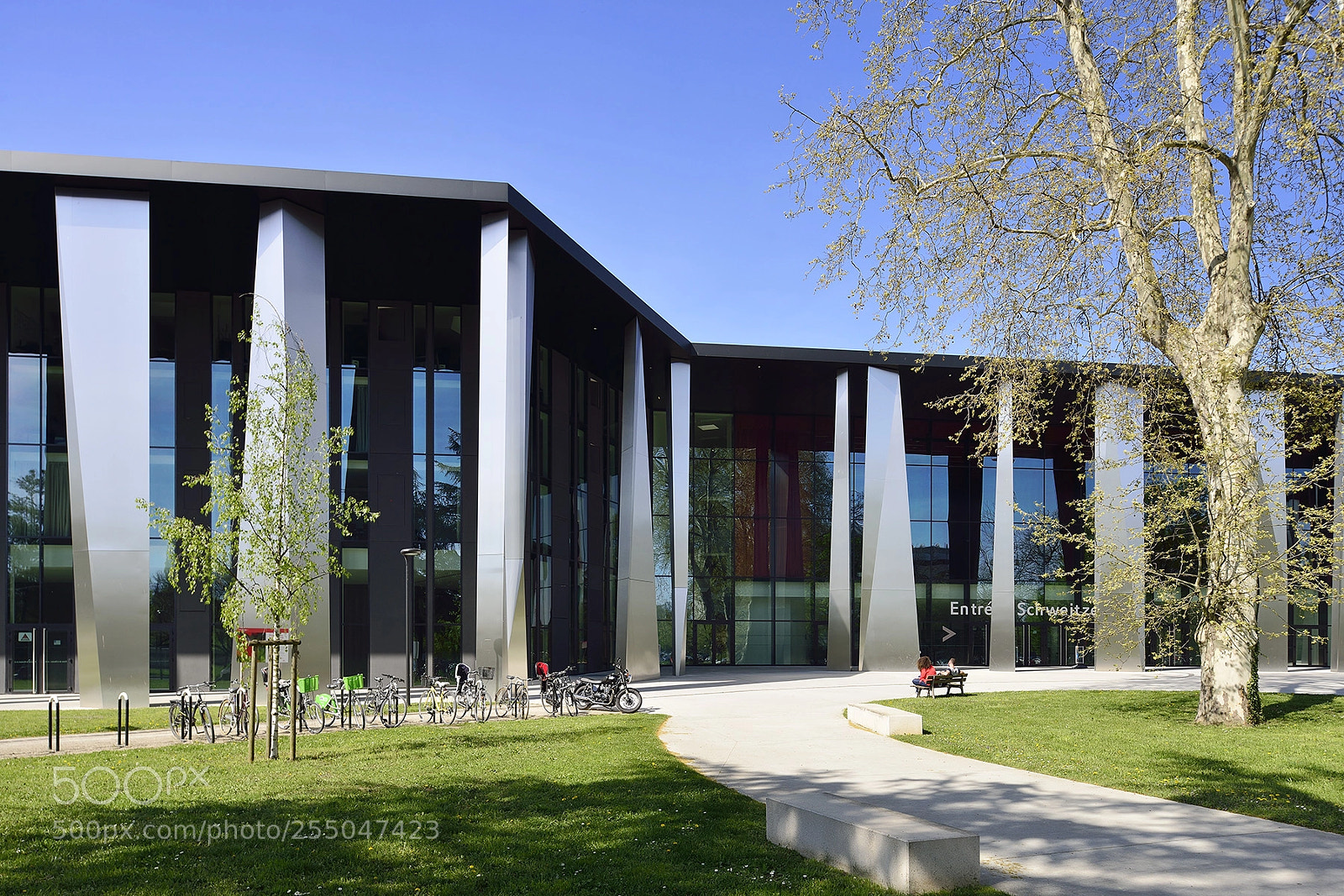 Nikon D800 sample photo. Pmc strasbourg #3 photography
