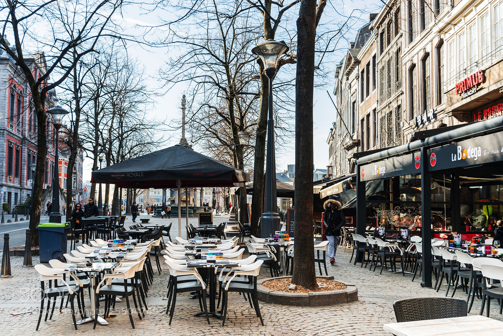 Nikon D800 sample photo. Liege, belgium - february photography