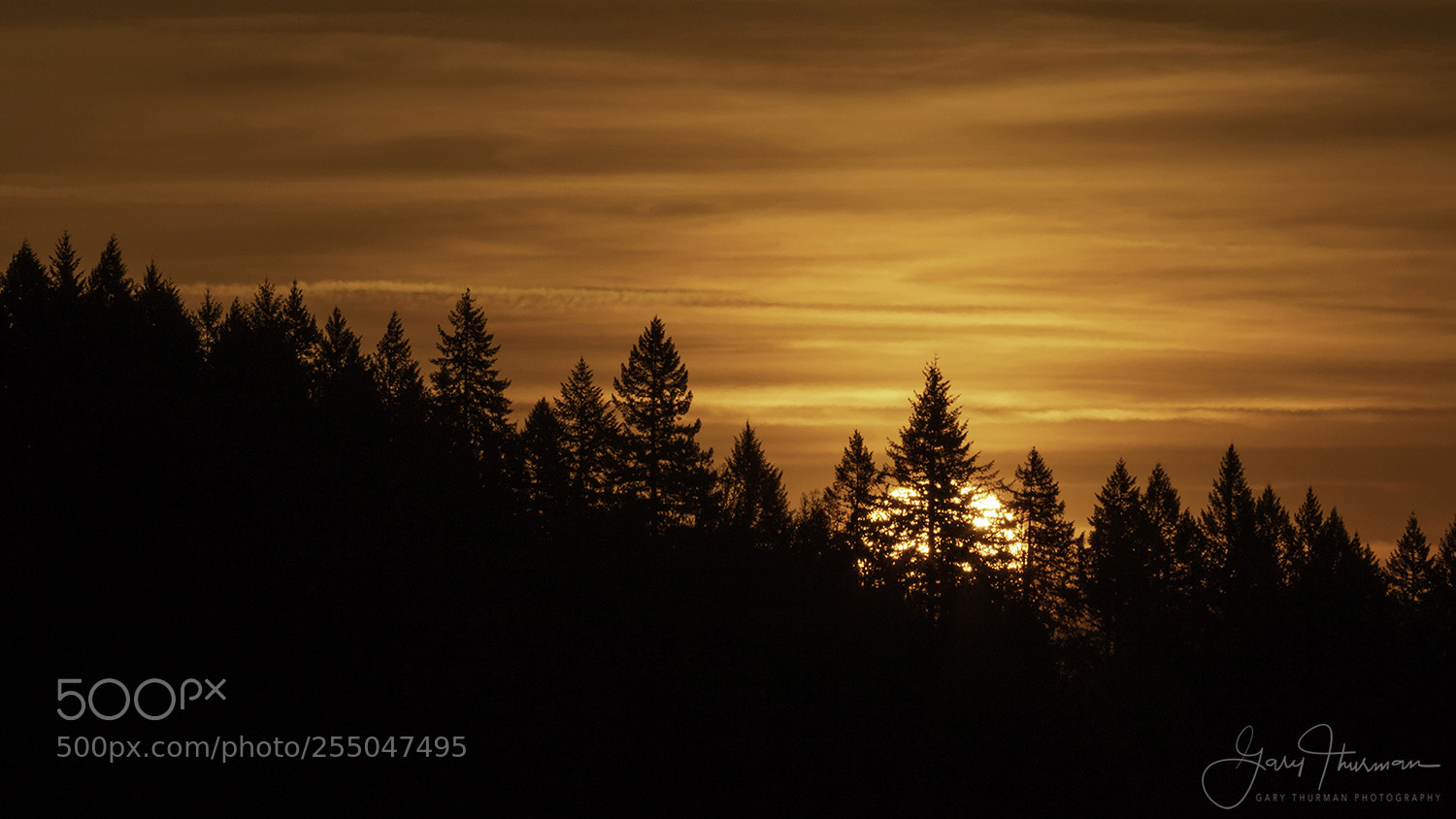 Canon EOS 7D Mark II sample photo. Here comes the sun photography