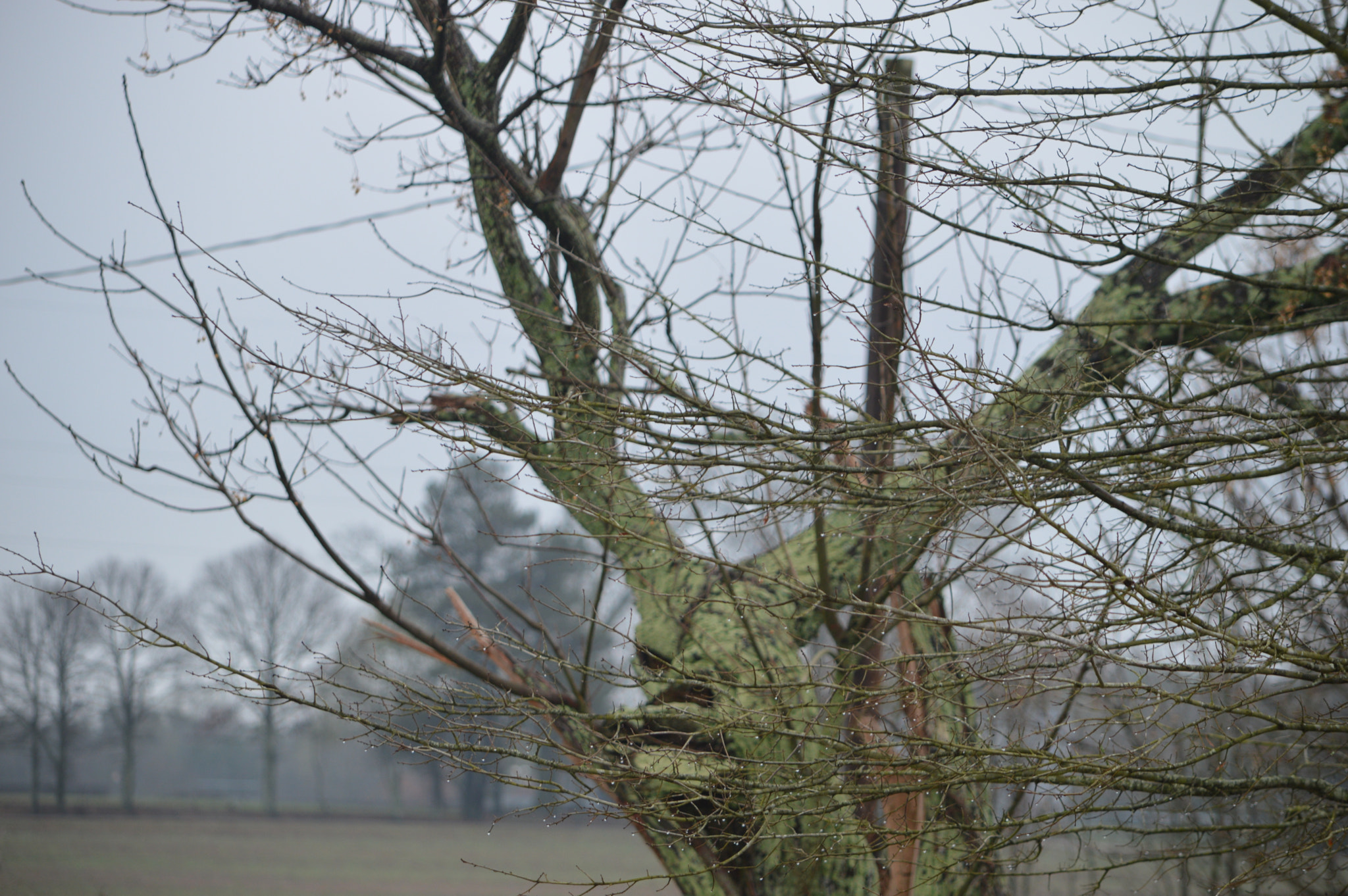 Nikon D3200 sample photo. () photography