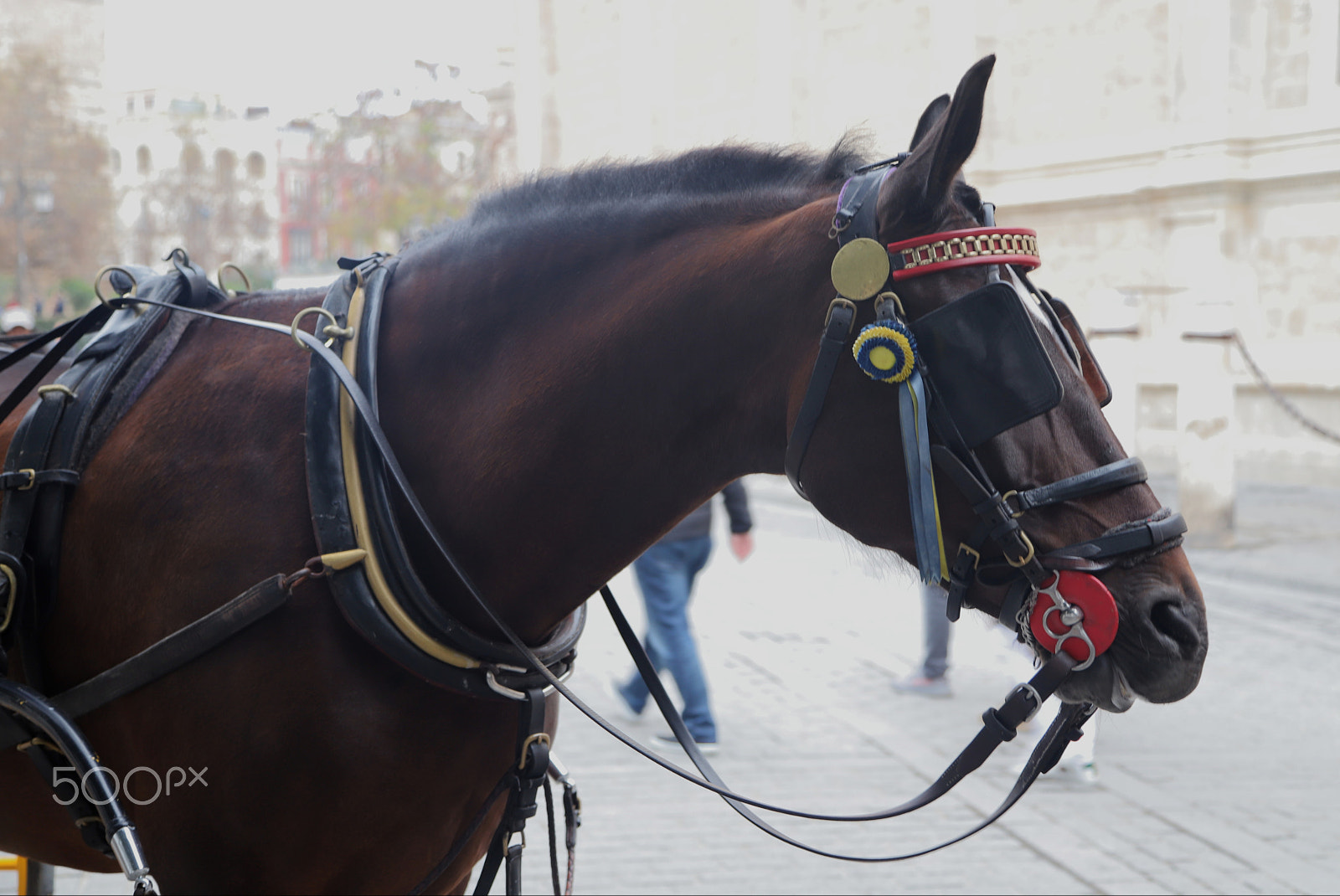 Canon EOS 6D Mark II sample photo. Trip to seville, spain. photography