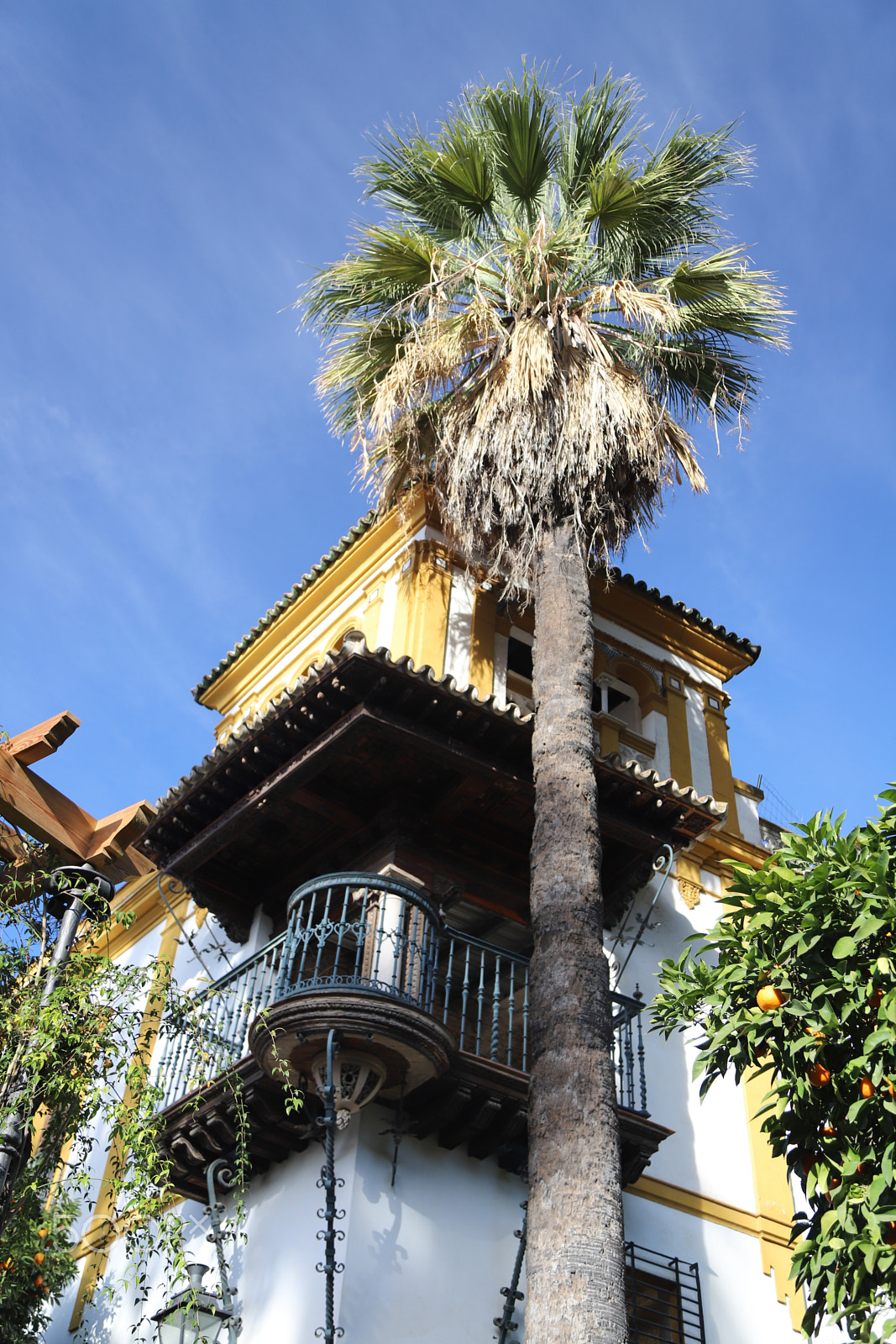 Canon EOS 6D Mark II sample photo. Trip to seville, spain. photography