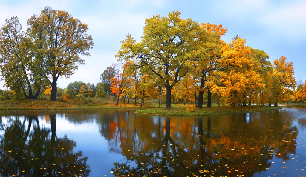 nature, Park, landscape, Peterhof by ilia advolotkin on 500px.com