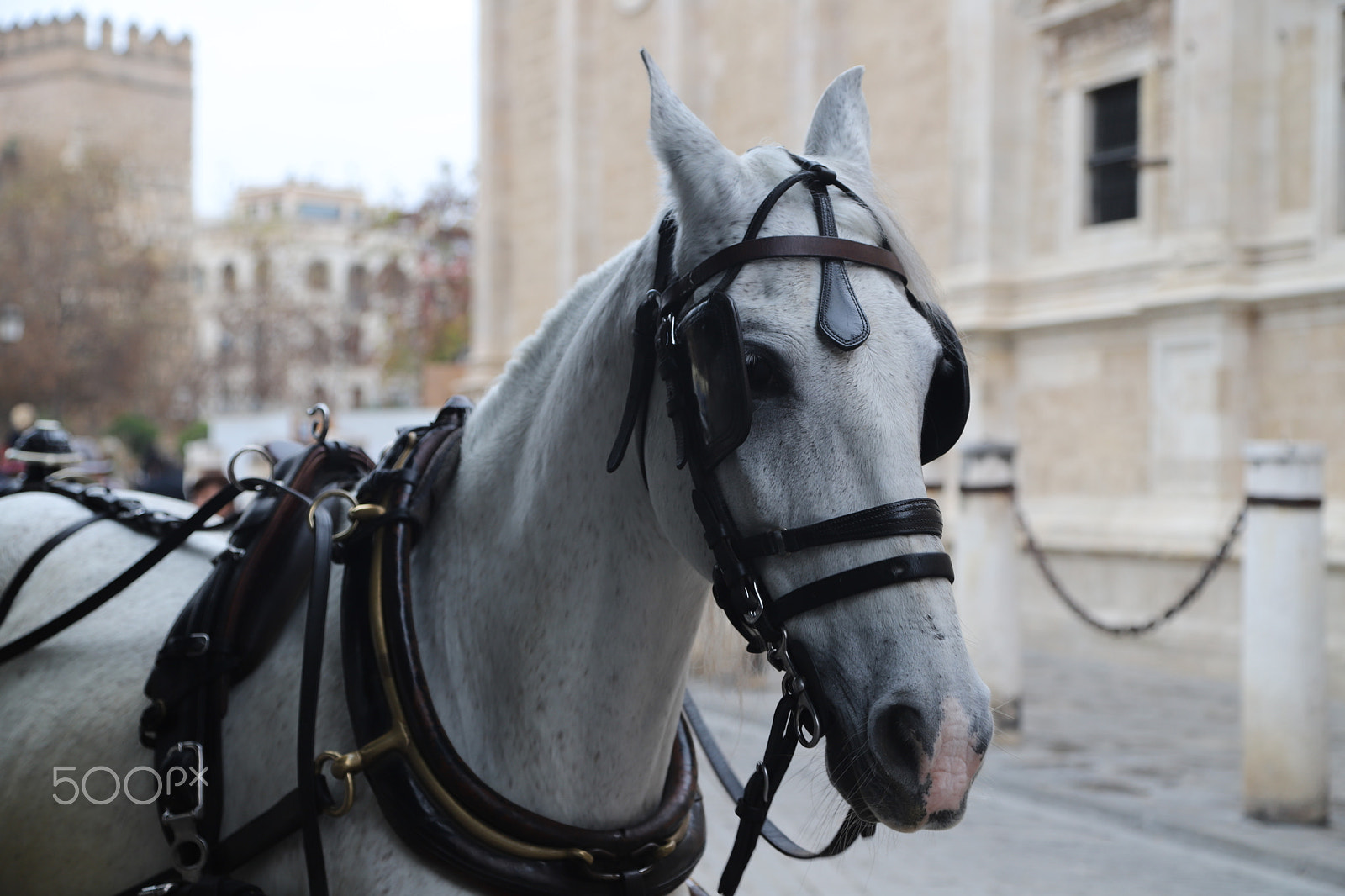 Canon EOS 6D Mark II sample photo. Trip to seville, spain. photography