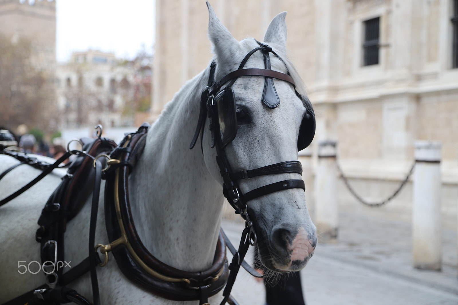 Canon EOS 6D Mark II sample photo. Trip to seville, spain. photography