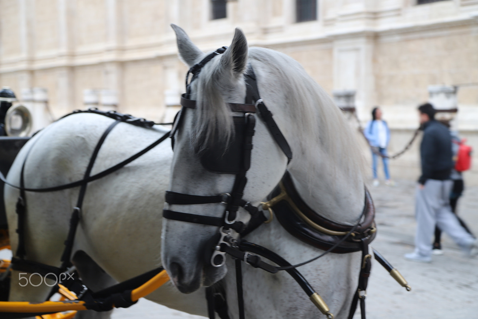 Canon EOS 6D Mark II sample photo. Trip to seville, spain. photography