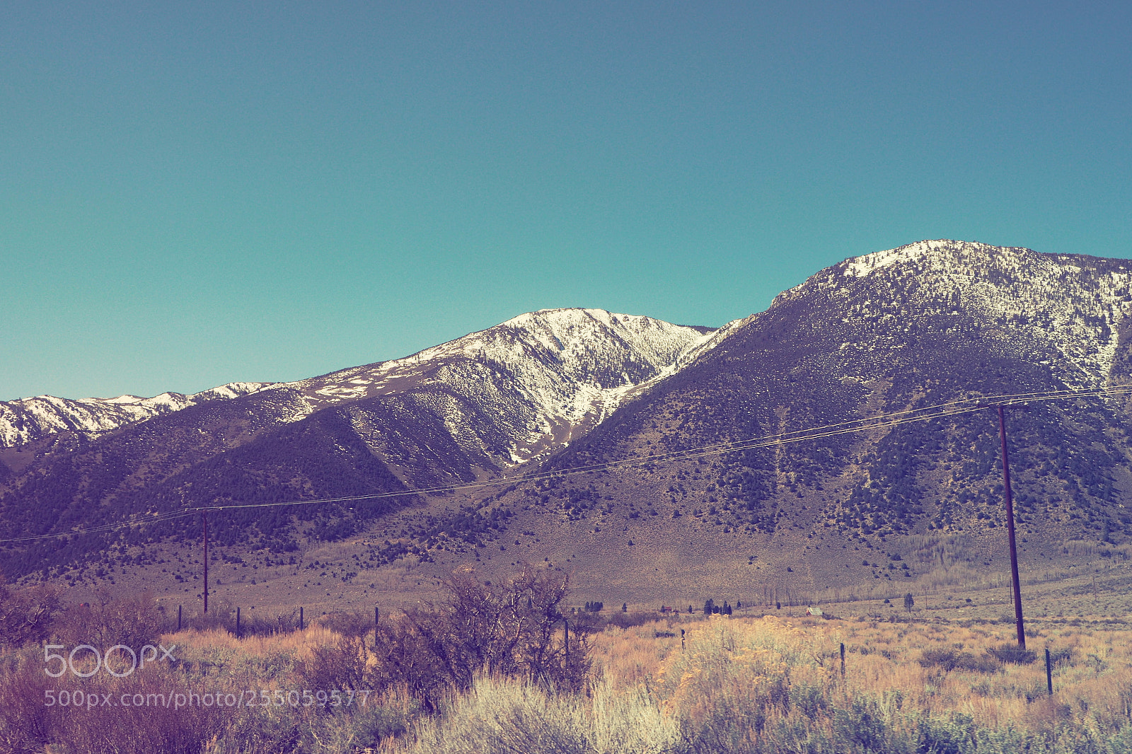 Olympus PEN-F sample photo. Mammoth photography