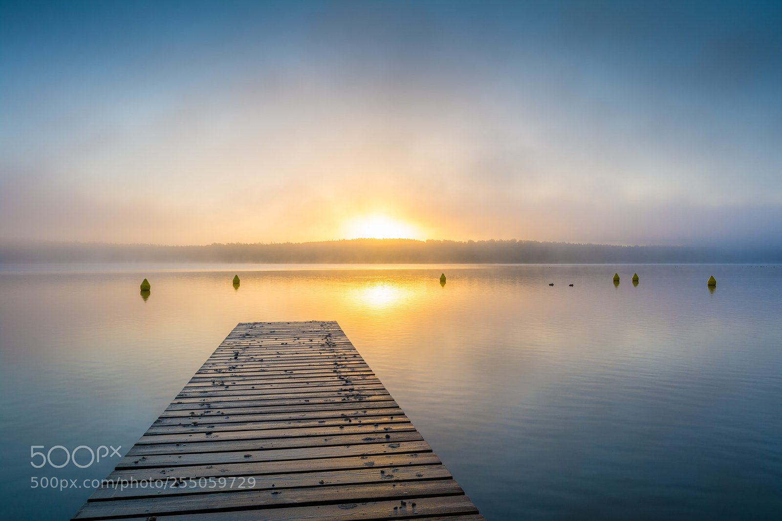 Nikon D7100 sample photo. Morning idyll photography