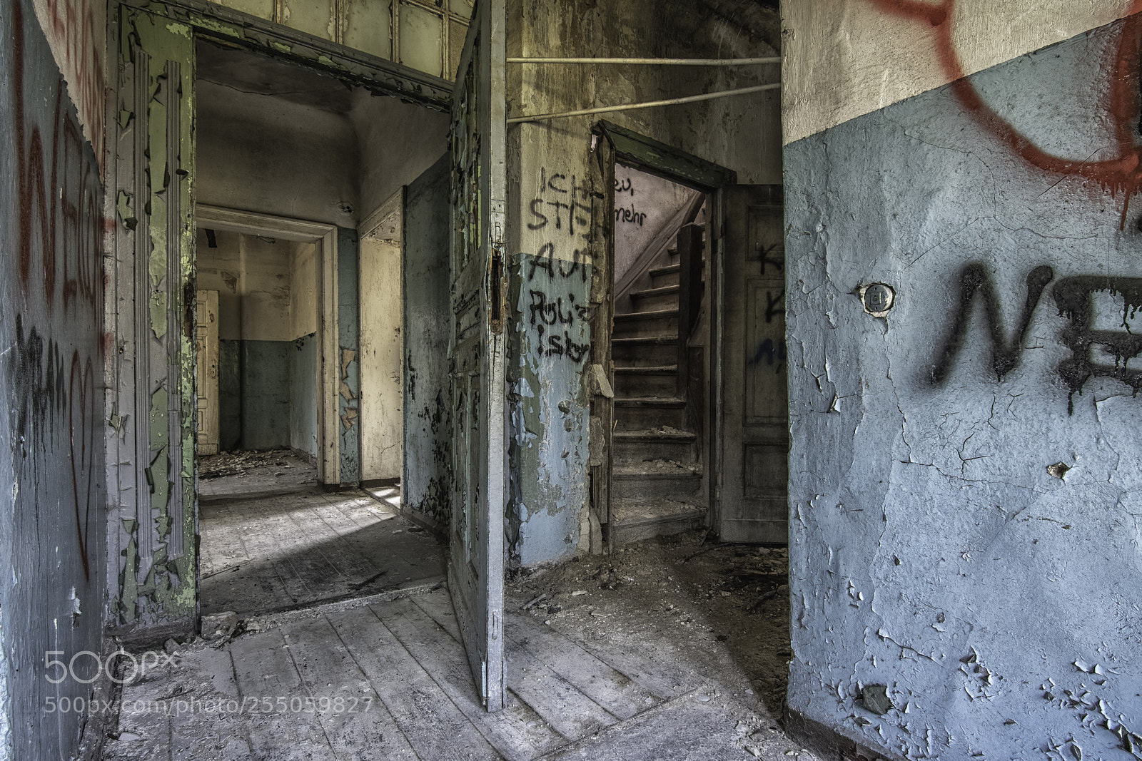 Nikon D500 sample photo. Doors photography