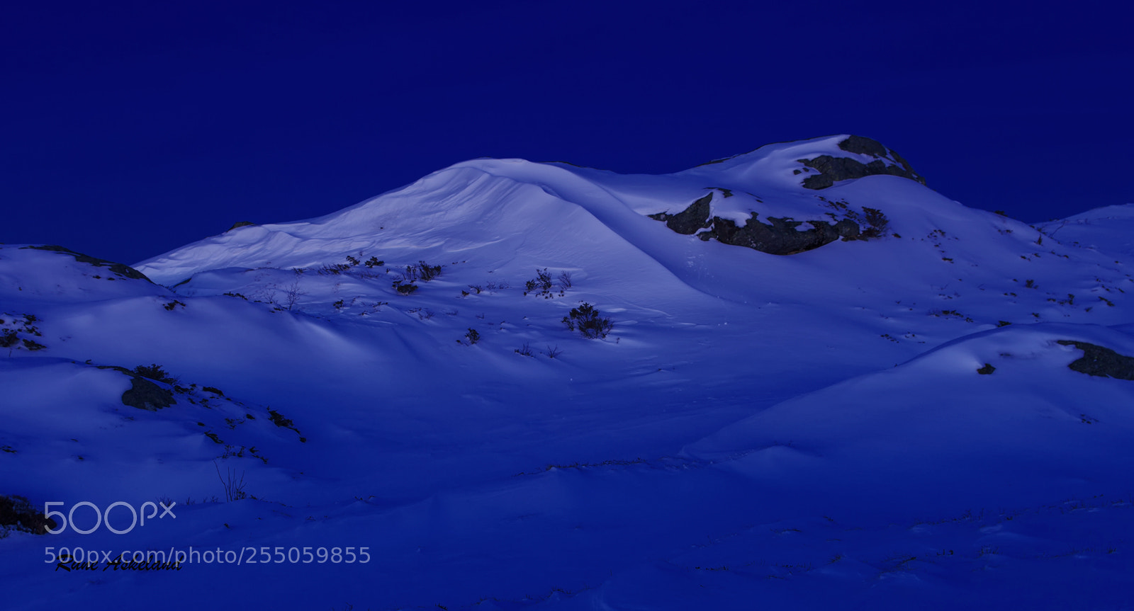Canon EOS 5D Mark II sample photo. Blue hour photography