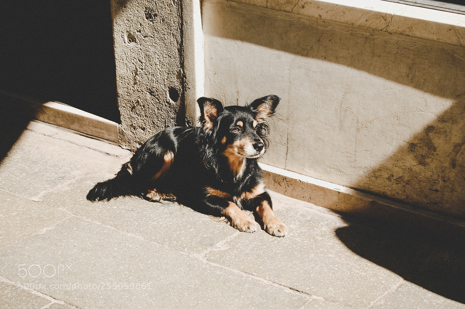 Nikon D40 sample photo. Taking sunbath photography