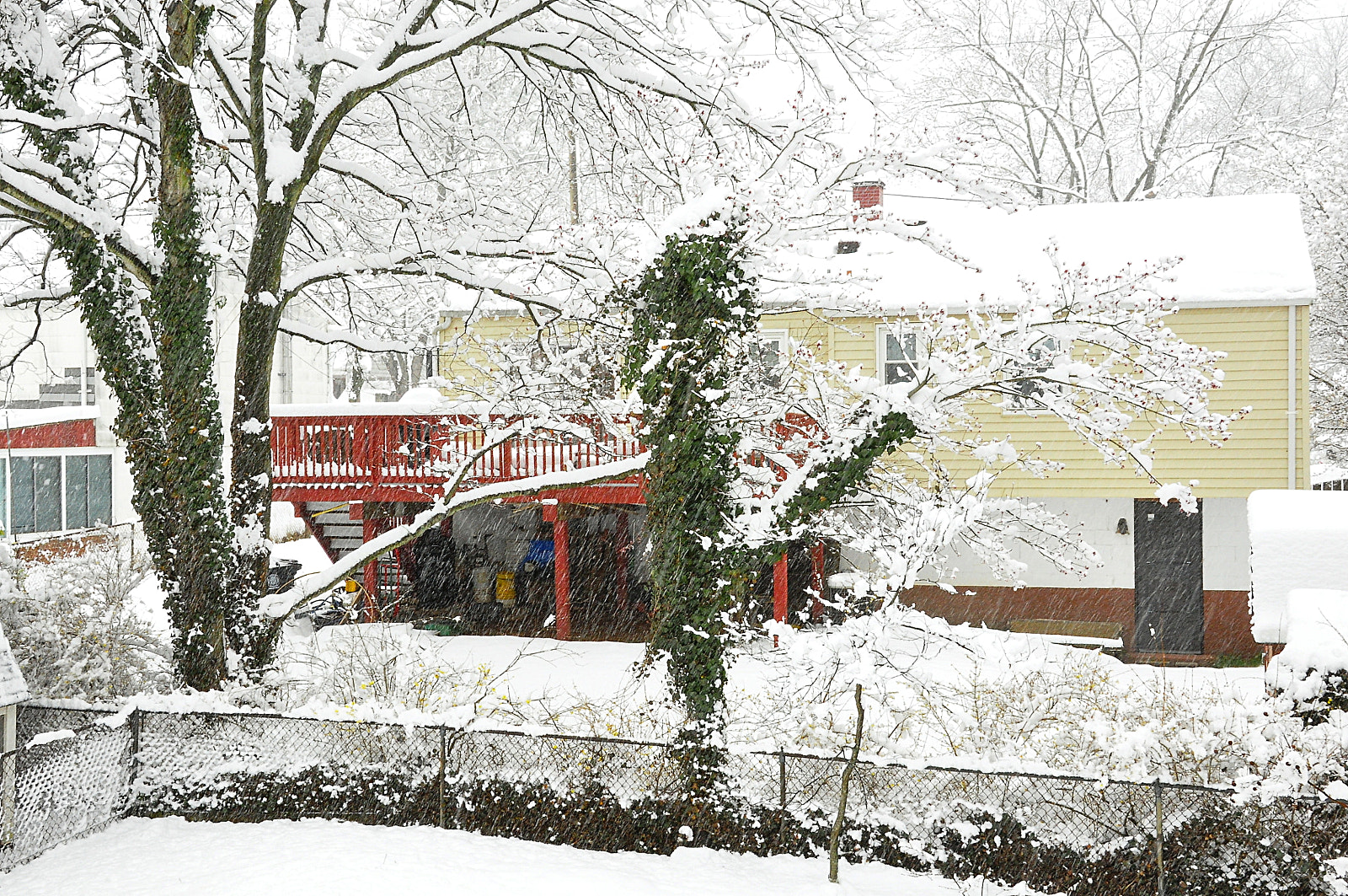 Nikon D90 sample photo. Winter's last furyi photography