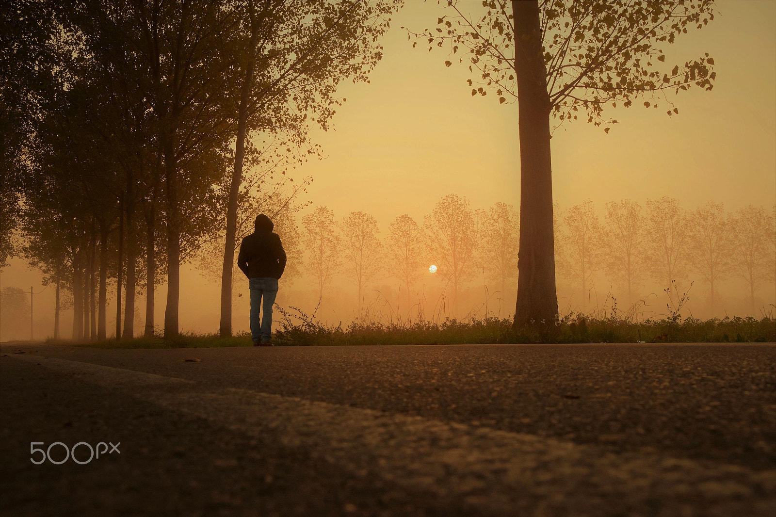 Nikon D5500 sample photo. Sunrise with mist photography