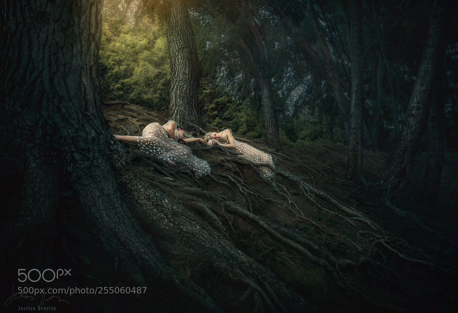 Canon EOS 5DS R sample photo. Connection photography