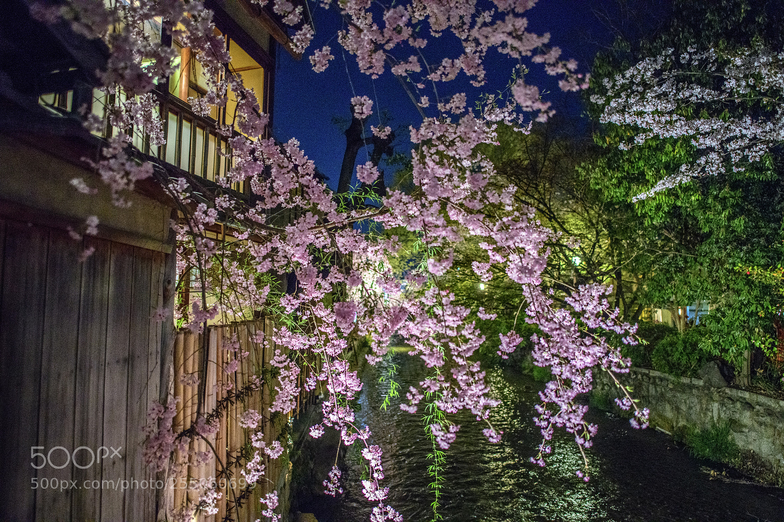 Nikon D850 sample photo. Gion kyoto (祇園, ぎおん) photography
