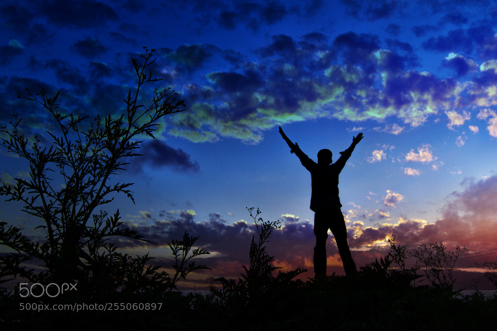 Canon EOS 77D (EOS 9000D / EOS 770D) sample photo. Untitled photography