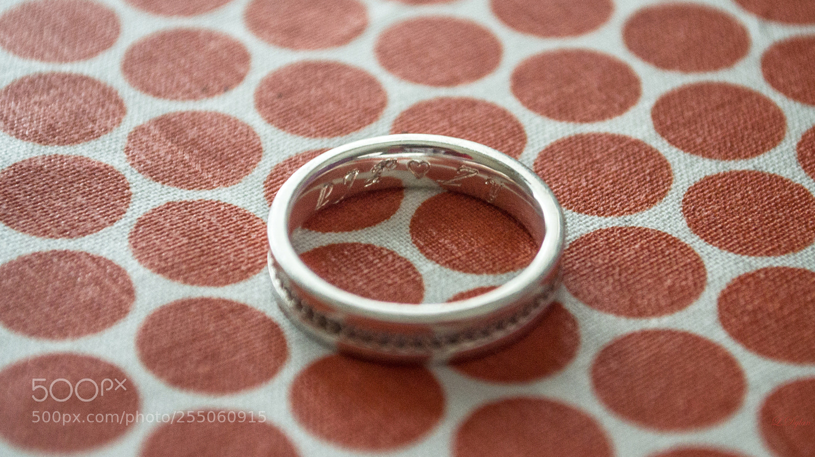Nikon D3100 sample photo. Macro close up photography