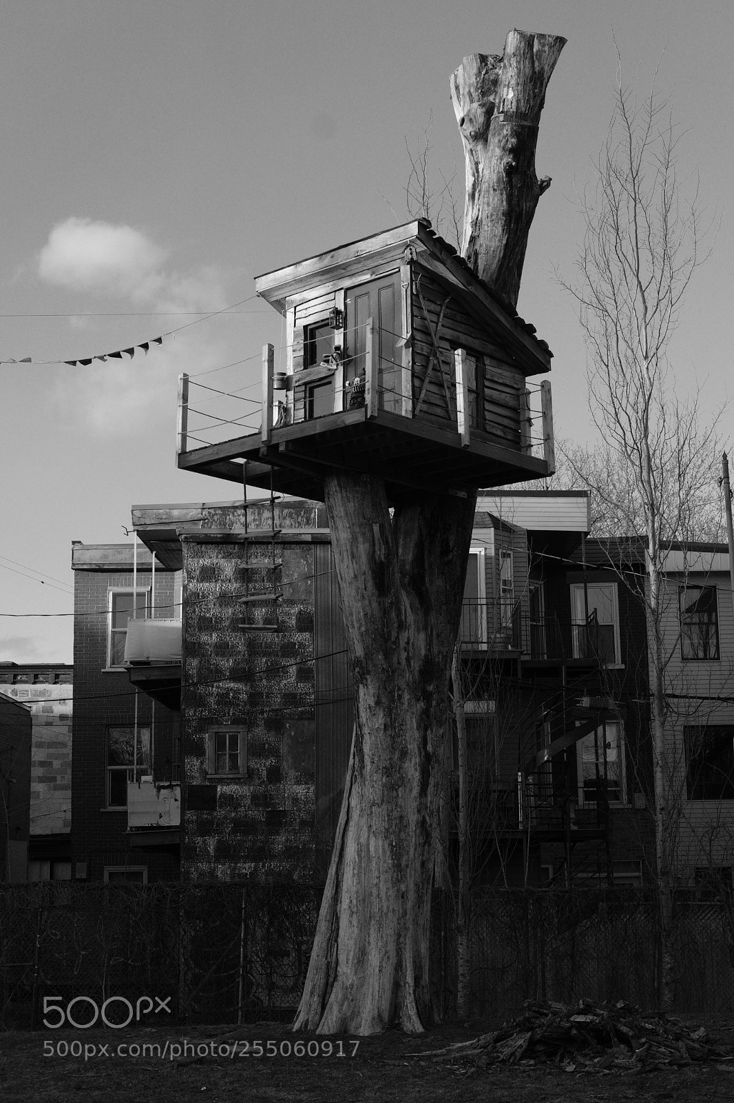 Fujifilm X-T2 sample photo. Maison dans l'arbre photography