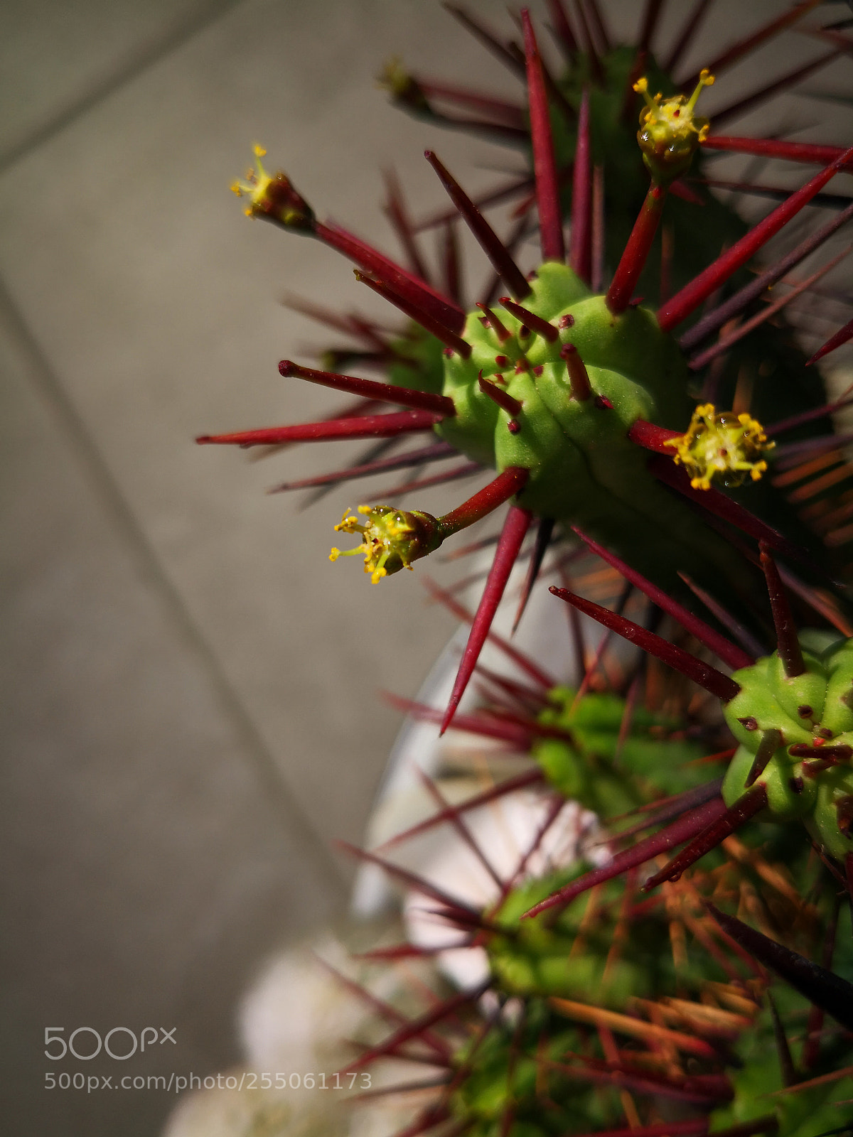 HUAWEI Mate 10 sample photo. Untitled photography