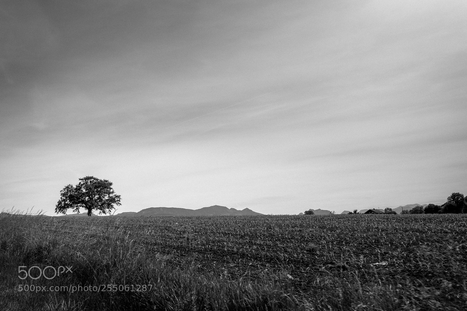 Samsung NX300 sample photo. Random bavarian landscapes photography
