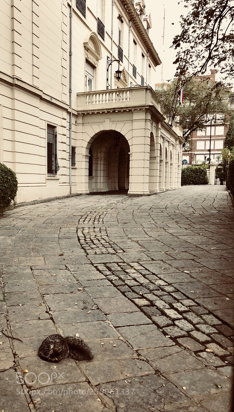 Apple iPhone X sample photo. Untitled photography