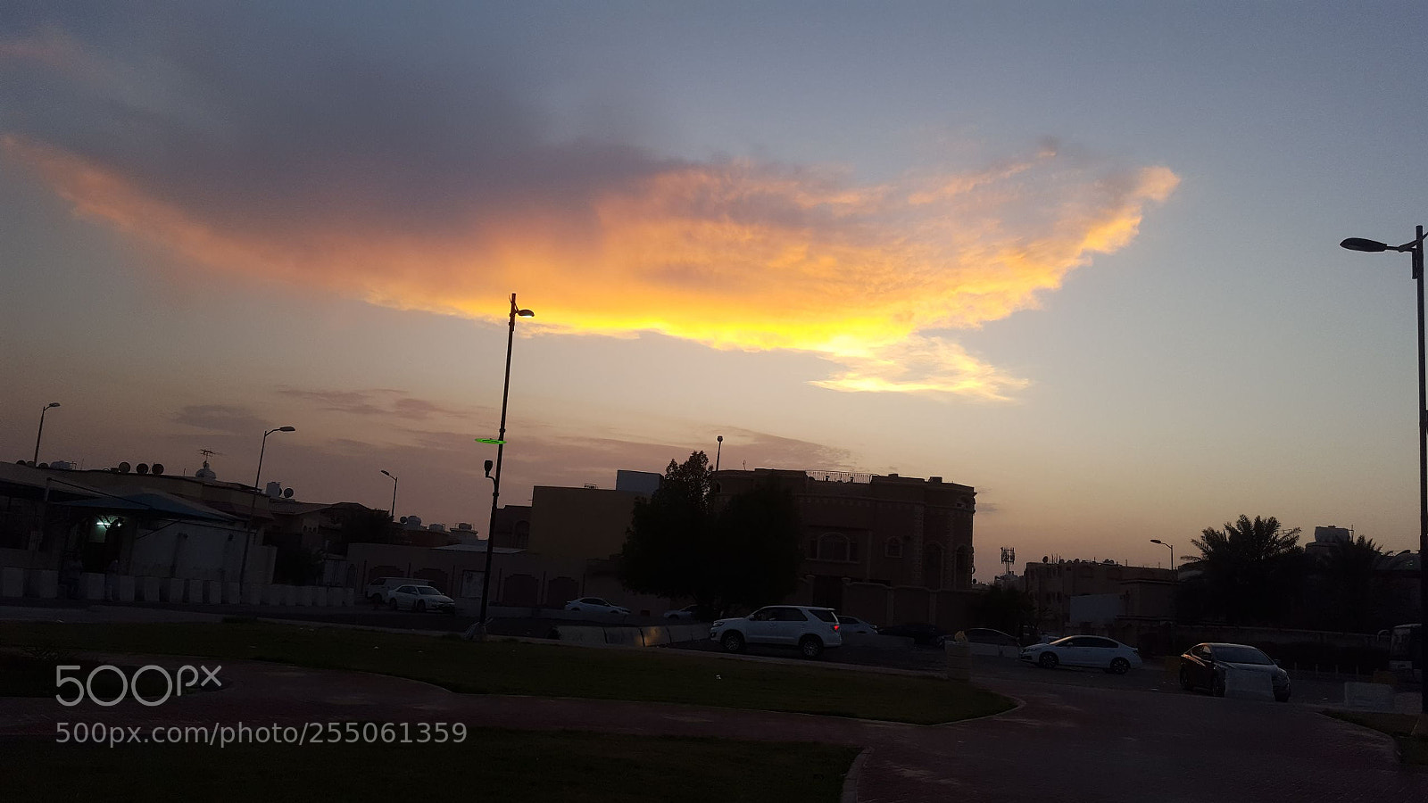 Samsung Galaxy S6 sample photo. Untitled photography
