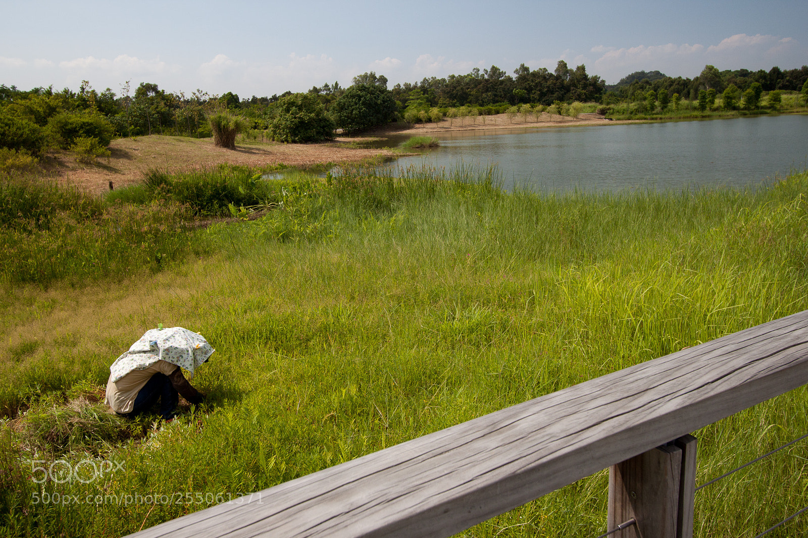 Canon EOS 500D (EOS Rebel T1i / EOS Kiss X3) sample photo. Img2016 photography