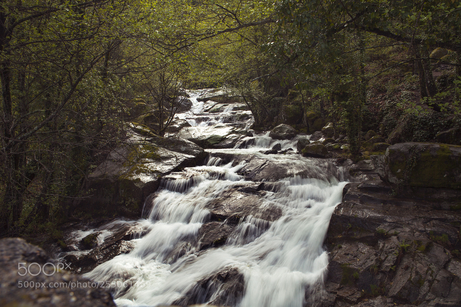 Canon EOS 5D Mark II sample photo. Cascada photography