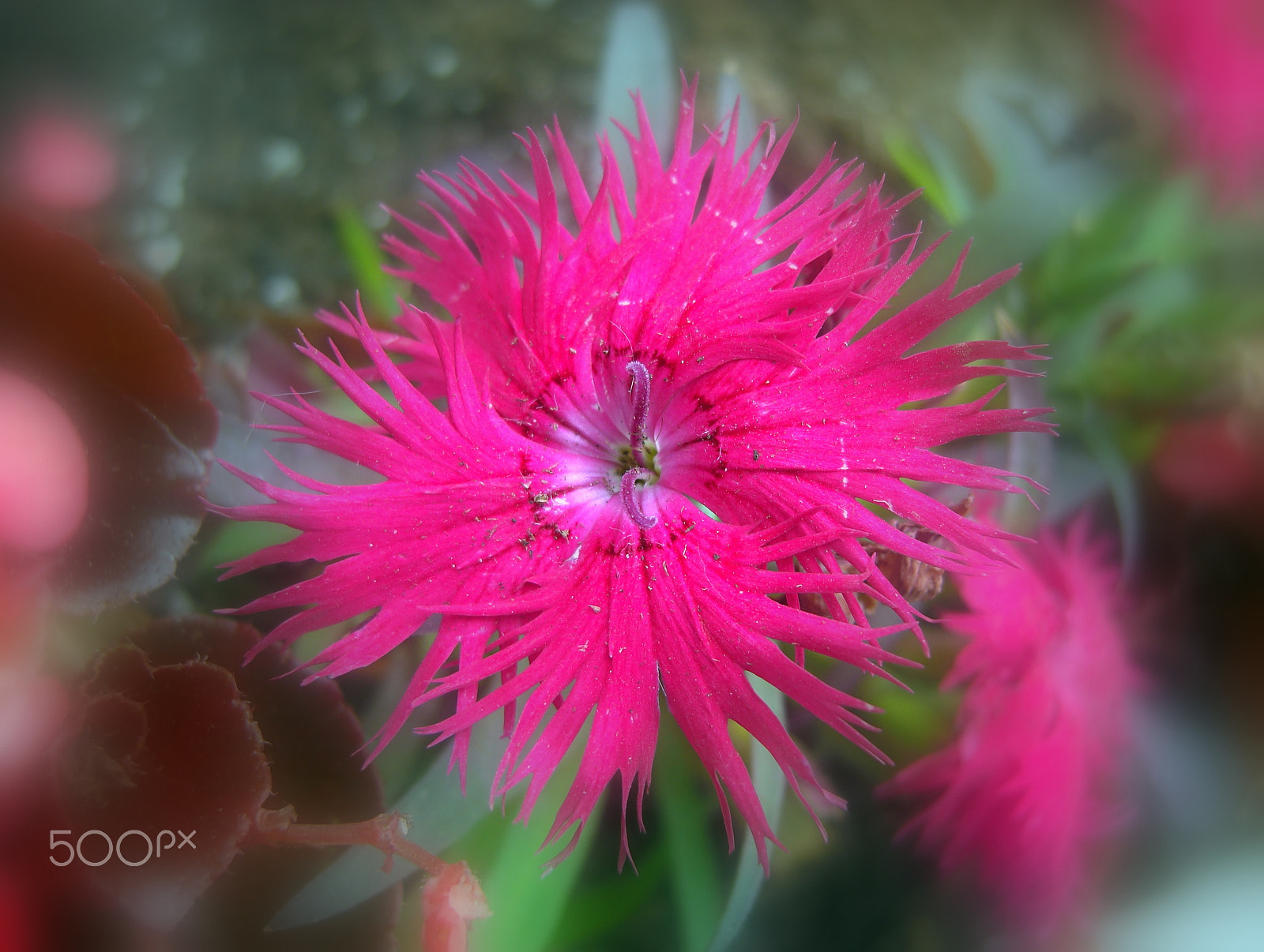 CASIO EX-Z1080 sample photo. The circle photography