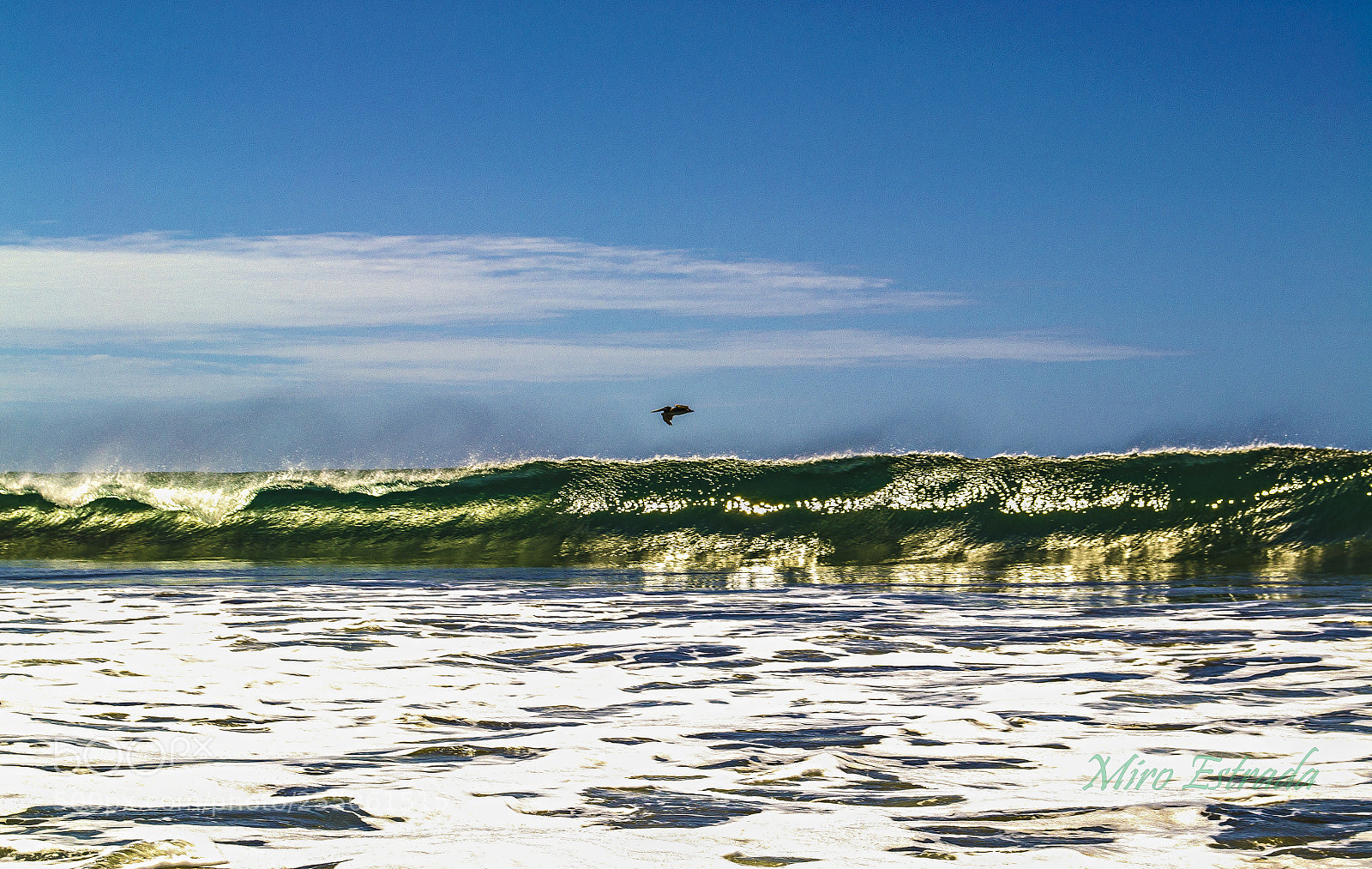 Nikon D3100 sample photo. Vuelo bajo photography