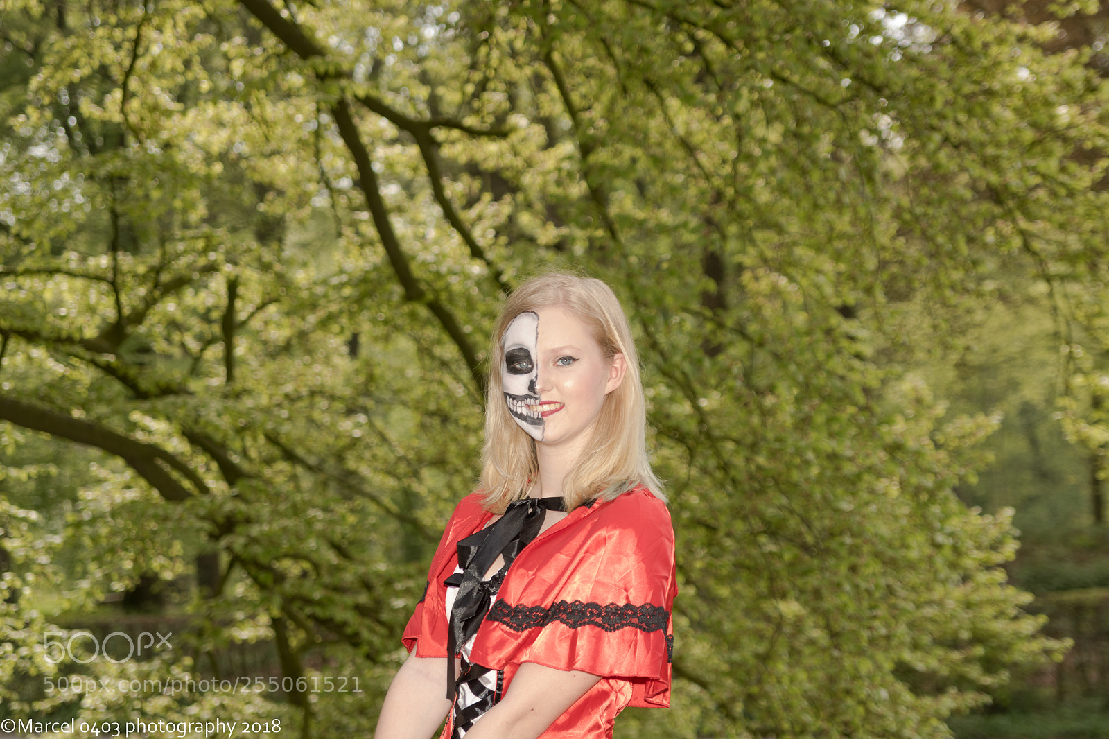 Canon EOS 760D (EOS Rebel T6s / EOS 8000D) sample photo. Elfia zondag photography