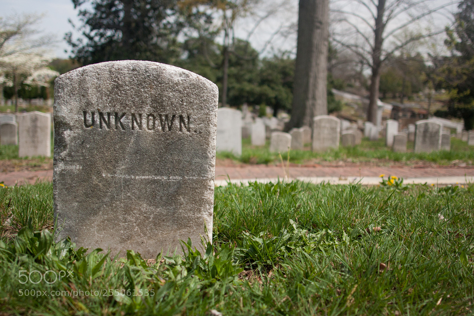 Canon EOS 40D sample photo. Unknown soldier photography