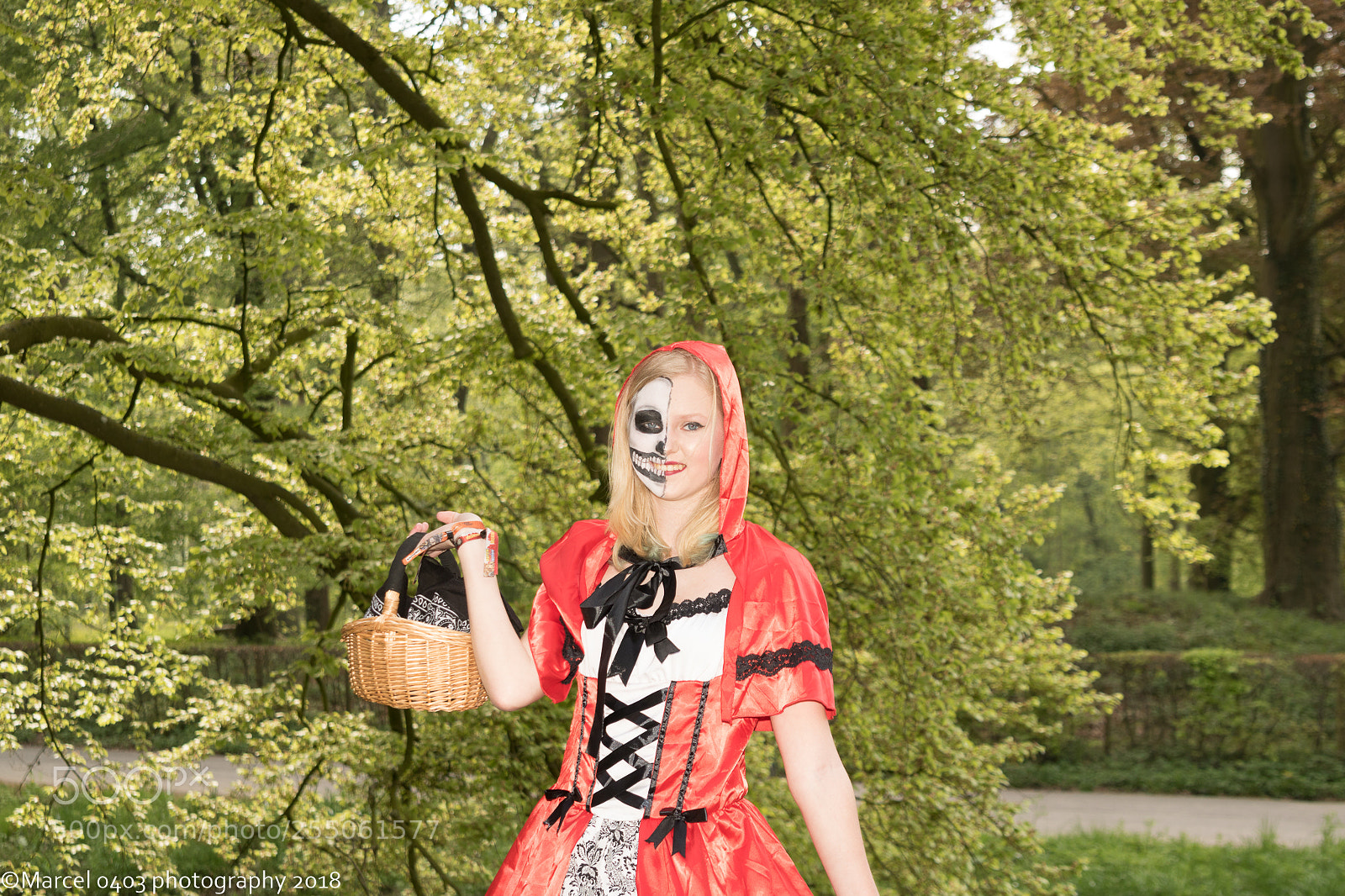 Canon EOS 760D (EOS Rebel T6s / EOS 8000D) sample photo. Elfia zondag photography